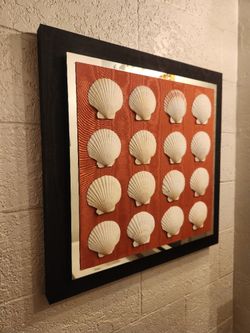Shell And Mirror Picture