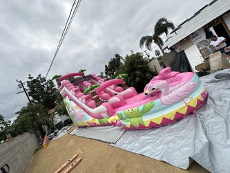 flamingo water slide