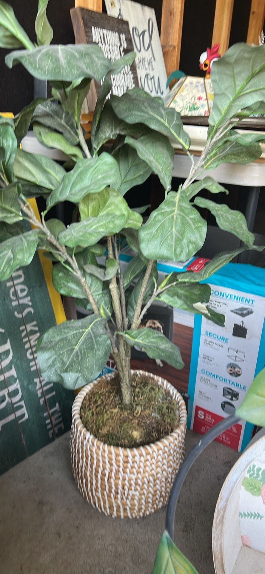 Fake Plant