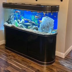 Acrylic Custom Fish Tank 