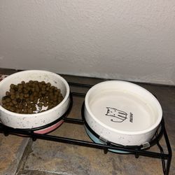 Cat Bowl