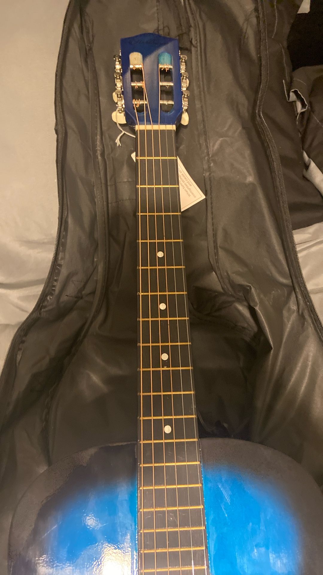 Blue Guitar
