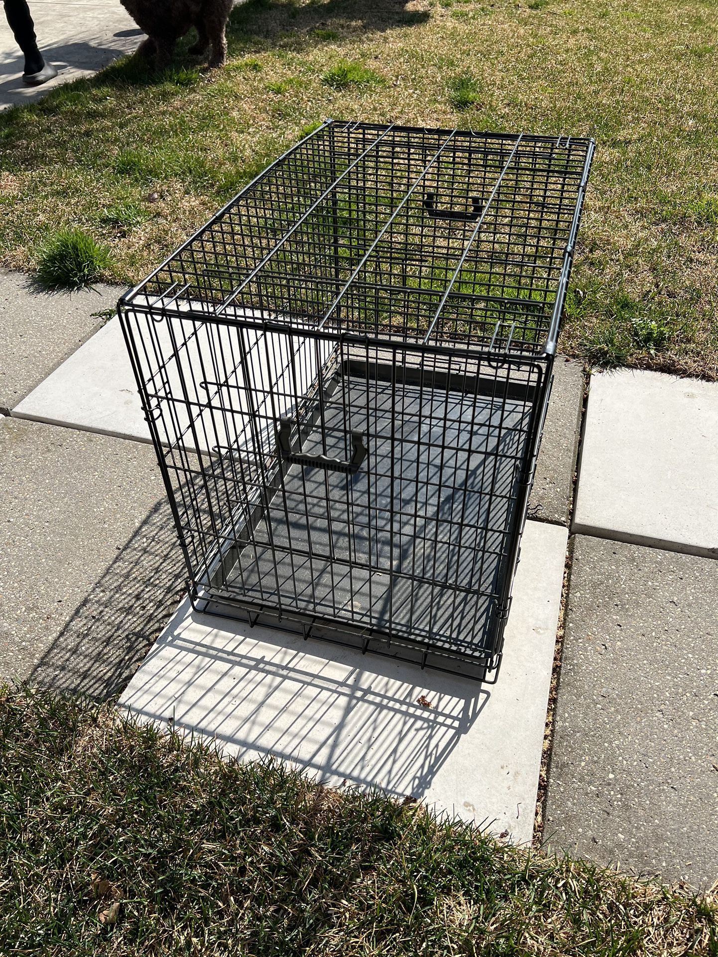 Dogs Crate 