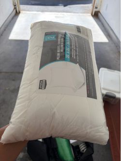 20x20 pillow inserts
