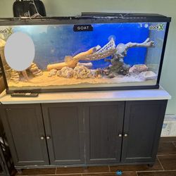 55 Gallons Tank And Stand 