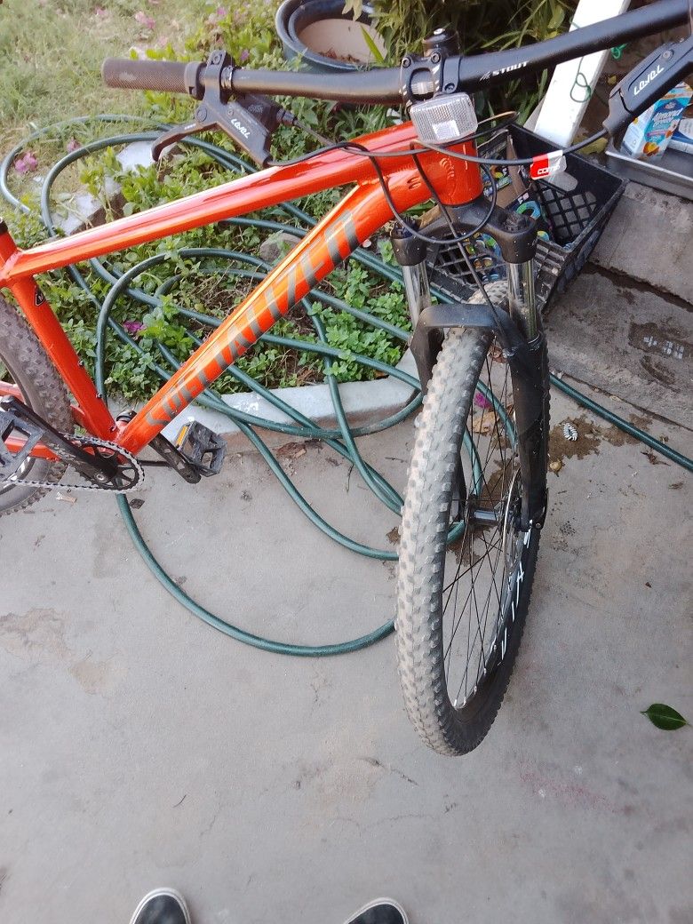 Specialized
Rockhopper Comp 29