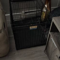 Dog Kennel 