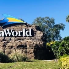 Sea World Tickets 