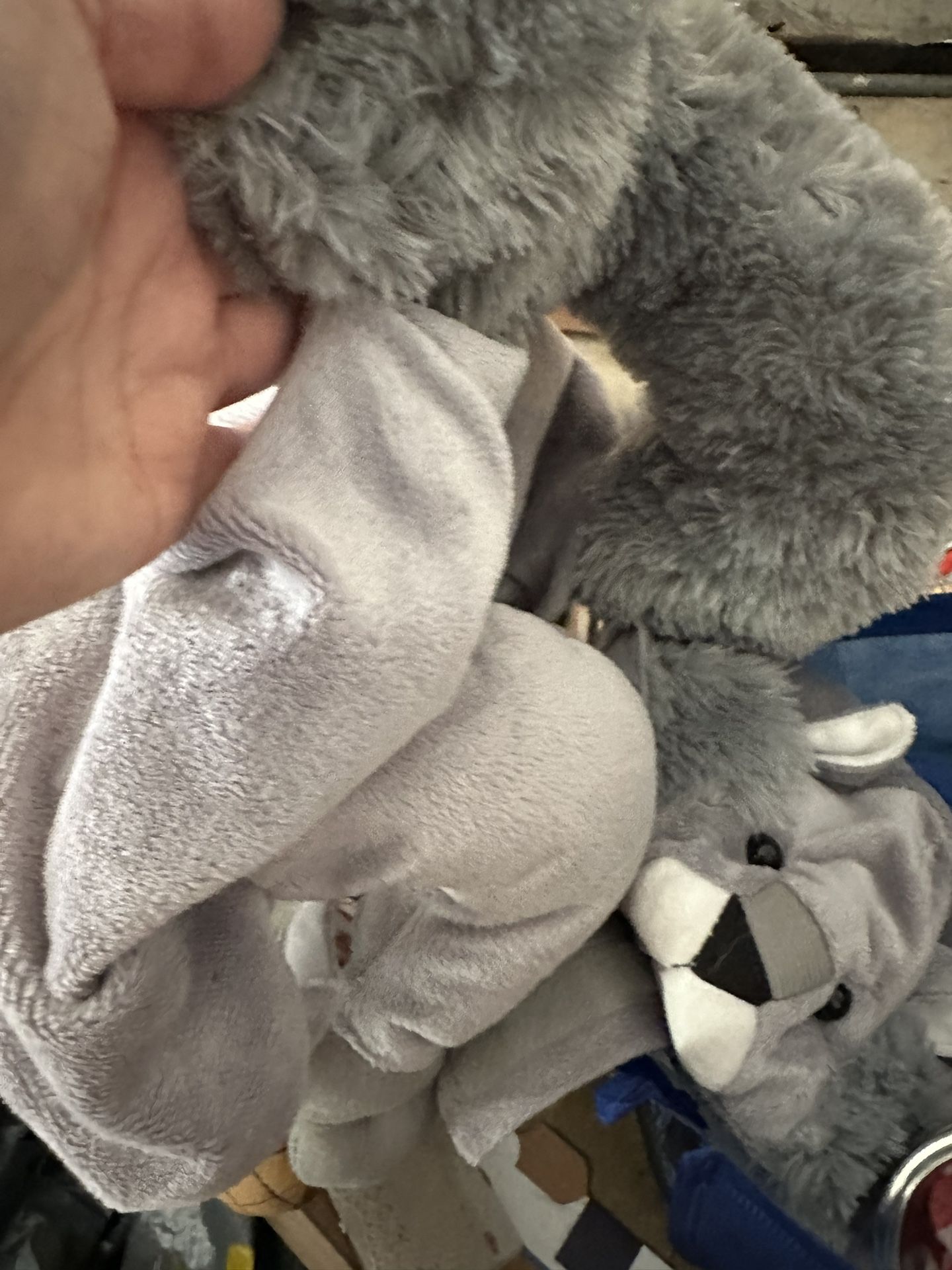 Squirrel, Dog Costume