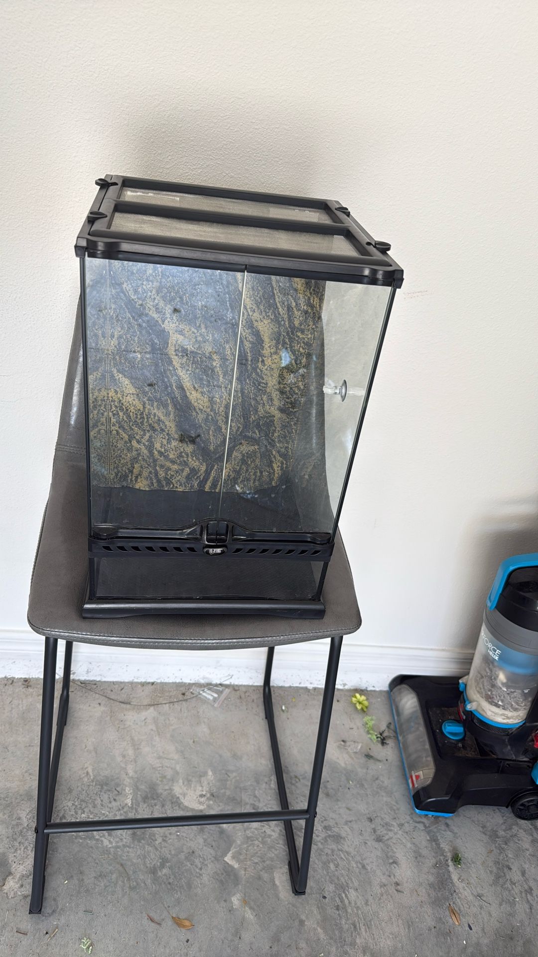 Reptile Enclosure
