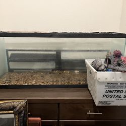 55 Gallon Glass Fish Tank 