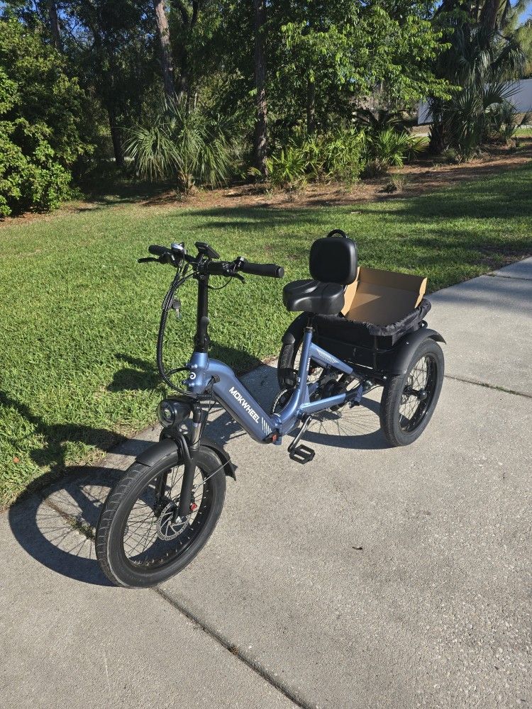Mokwheel Trike