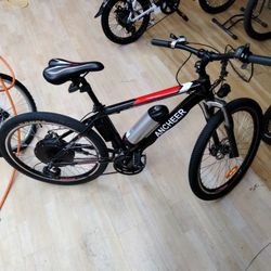 500W Electric Bicycle