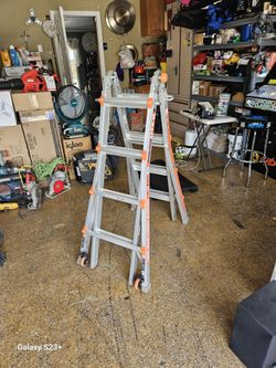 Little giant ladder