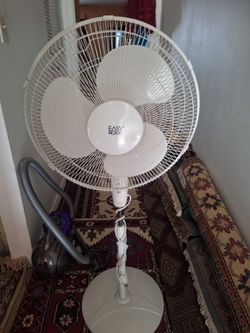 Fan 16" 3 speeds rotating