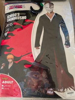 Bleach Ichigo  costume