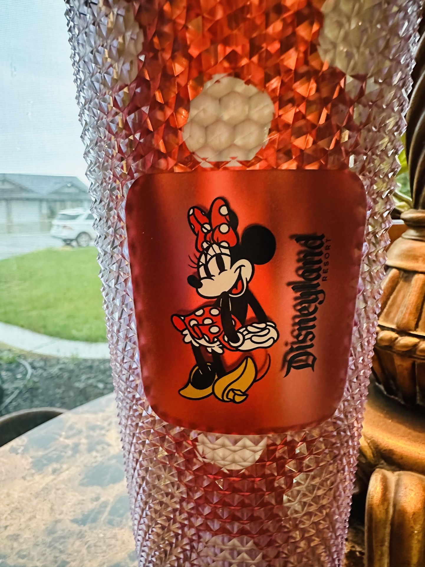 Disney Starbucks Tumbler
