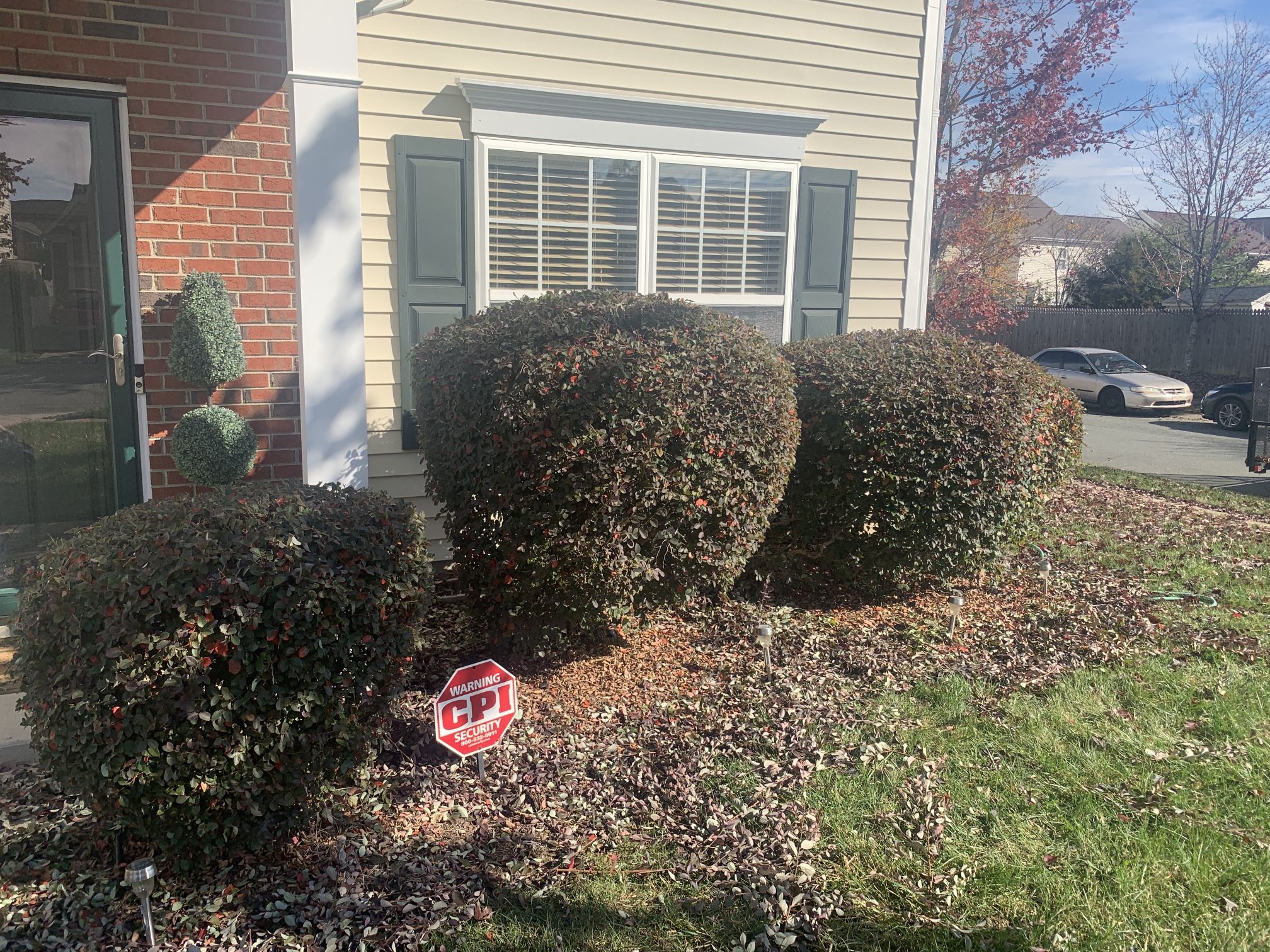 Bush Trimming