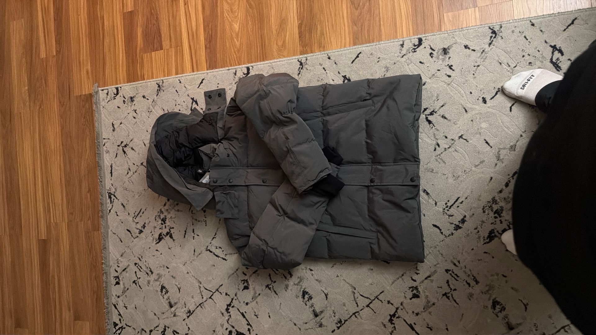 brand new canada moose