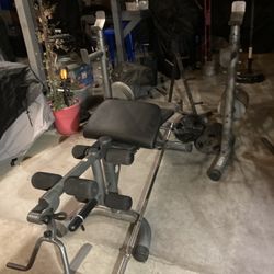 Complete Work Bench With Weights 