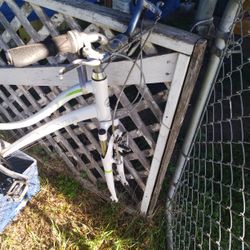 Bike 29in Needs Tires