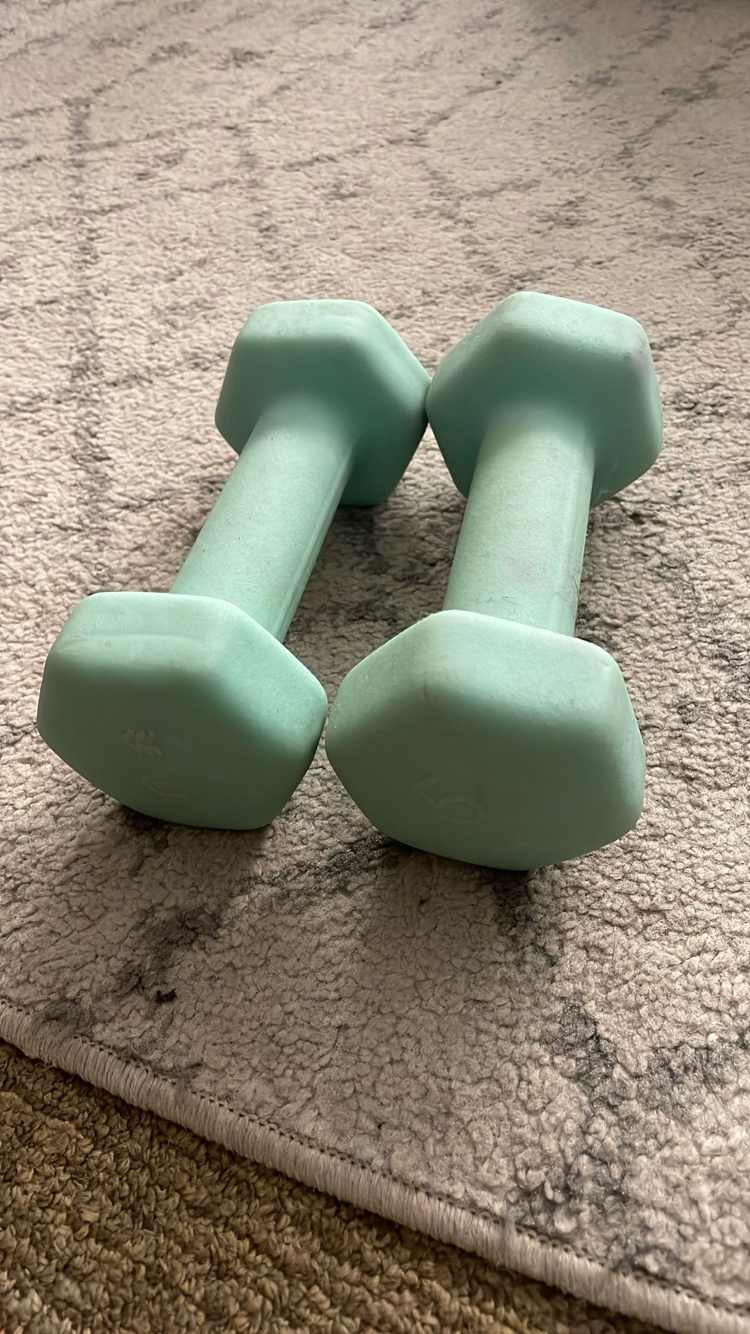 5lb dumbbells Weights 