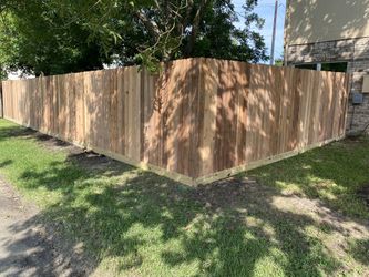 Martin Fencing