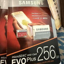 Samsung Evo 256gb