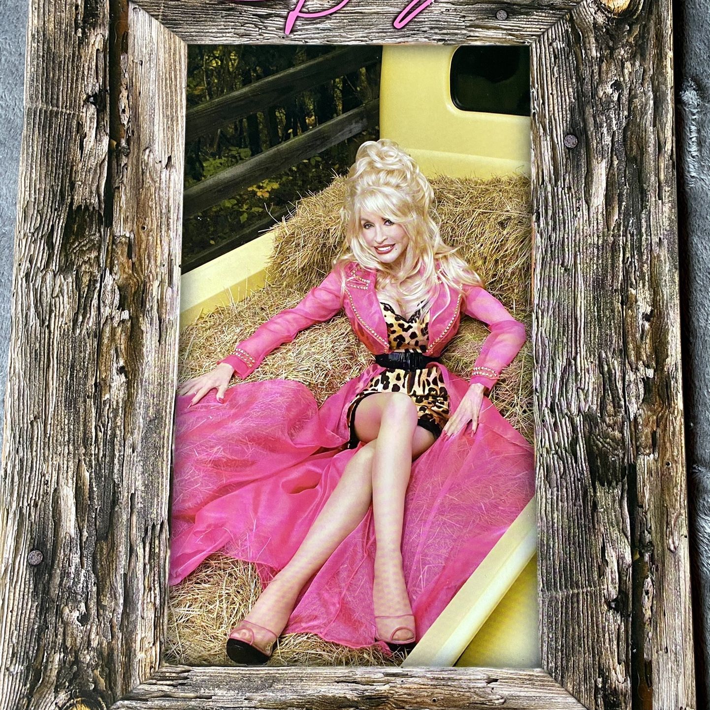 Dolly Parton Backwoods Barbie Official Tour-Book