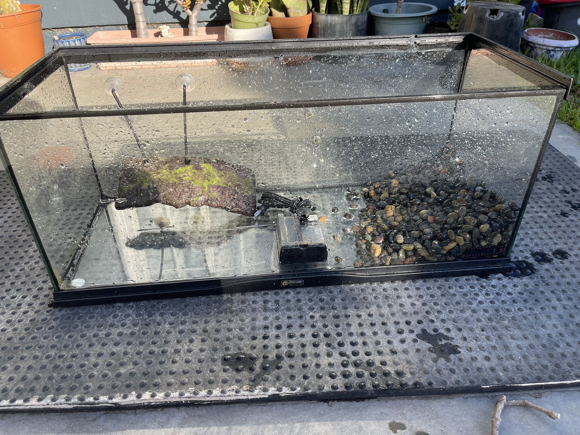 20 Gallon Aquarium 