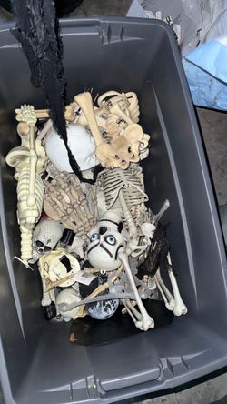 Halloween Skeleton Decoration Lot