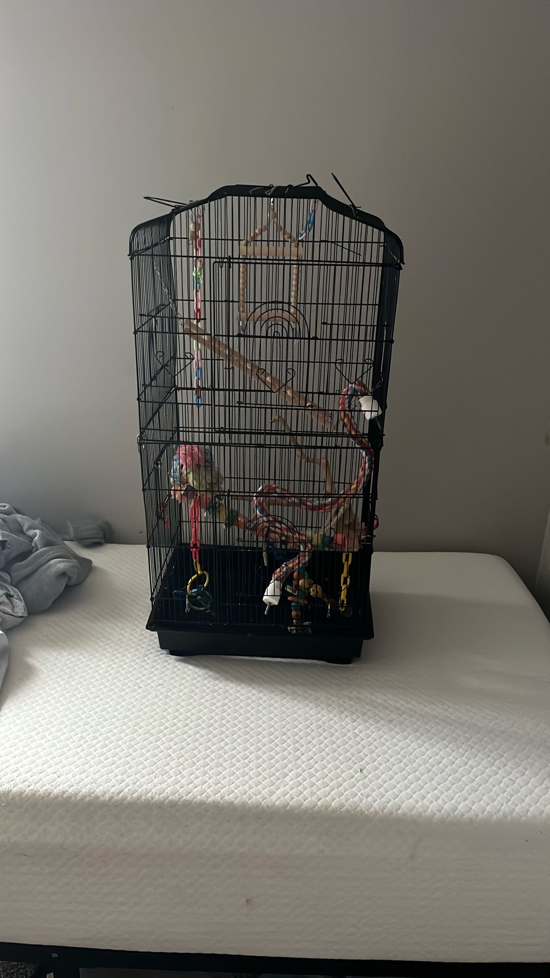Medium Bird cage