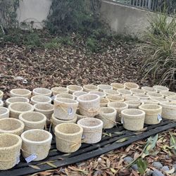 Exotic Pebble Flower Or Plant Pots