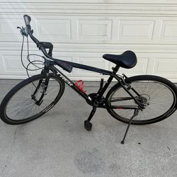 Trek Verve 3 Gold Alpha Aluminum LARGE