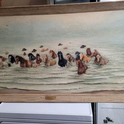 1987 Pony Swim Oil On Camvis