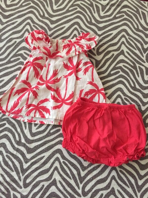 Crazy 8 palm tree short outfit