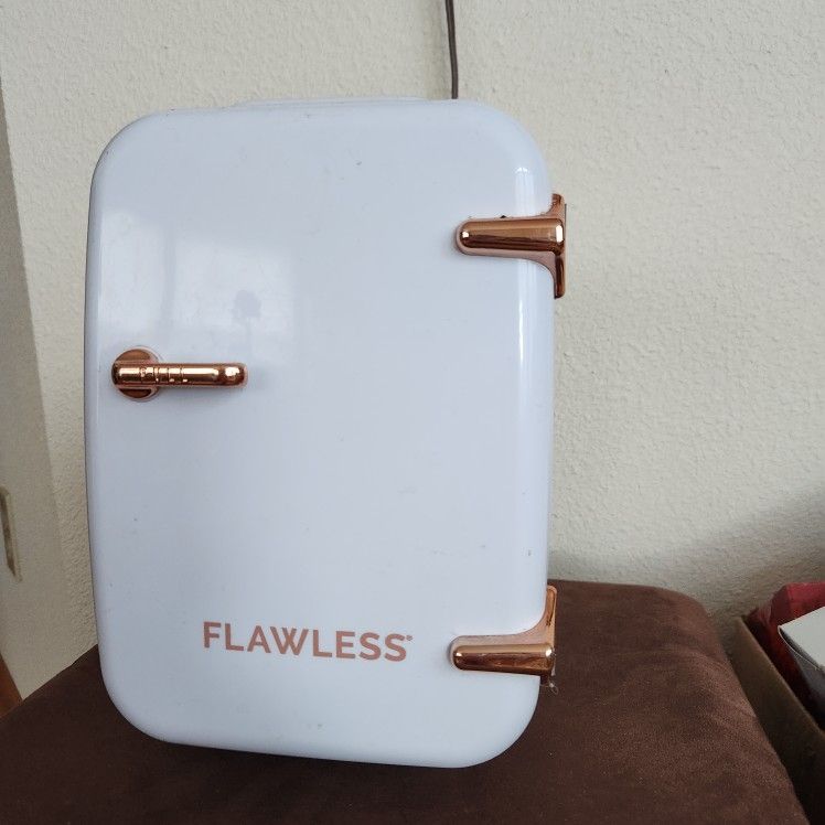 Portable Mini Fridge