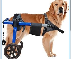 Visit the Store, Virbraroo Virbraroo Visit the Store 3.8 3.8 out of 5 stars (139) Dog Wheelchair for Back Legs, Dog Wheelchair with All-Terrain Tires