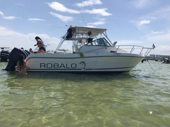 Róbalo