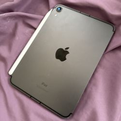 iPad Mini 5
