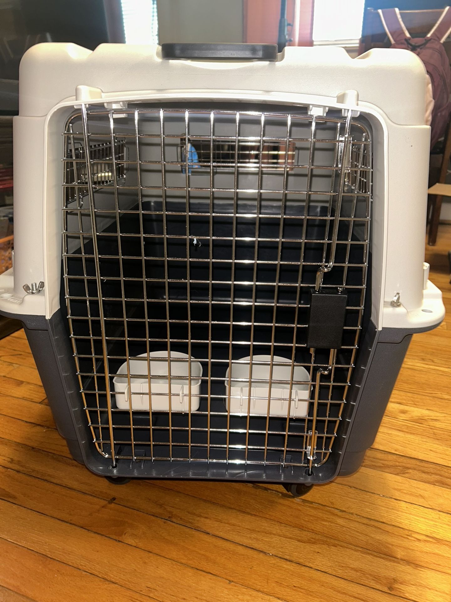 Large IATA Dog Kennel