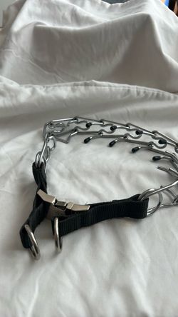 Training collar