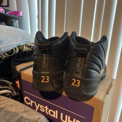 Jordan 12 