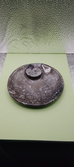 Orthoceras Ammounit Bowl 