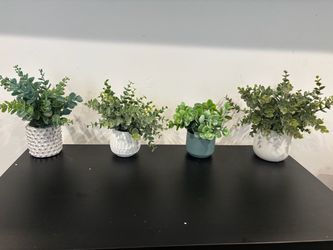 Greenery