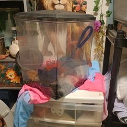 Fish Tank(No Fish)