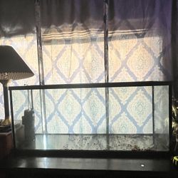 50 to 60 Gallon Fish Tank