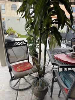 Fake Trees 6 Feet Tall One Of Them