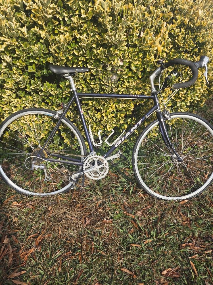 Giant Kronos Road Bike 1980s