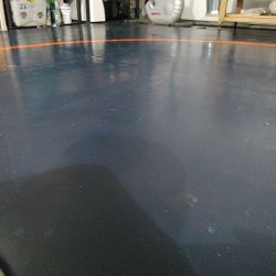 Wrestling/ Jujitsu/Judo/MMA